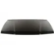 Capot-moteur BLIC 6803-00-2027280P - Visuel 1