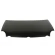 Capot-moteur BLIC 6803-00-9506280P - Visuel 1