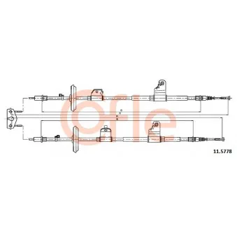 Tirette à câble, frein de stationnement COFLE