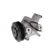 Compresseur, climatisation VALEO 559623 - Visuel 2