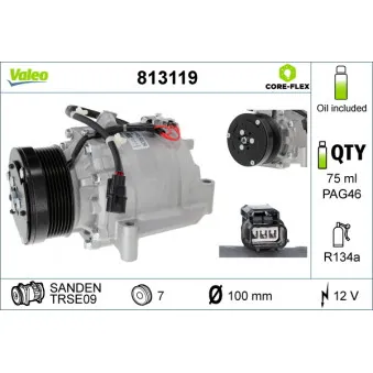 Compresseur, climatisation VALEO 813119