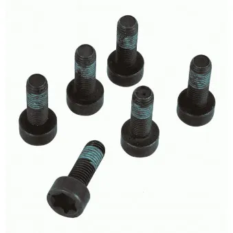 Visserie, volant moteur SACHS 1874 000 047