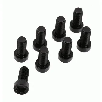 Visserie, volant moteur SACHS 1874 000 081