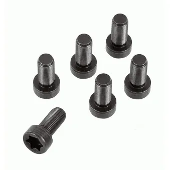 Visserie, volant moteur SACHS 1874 000 082