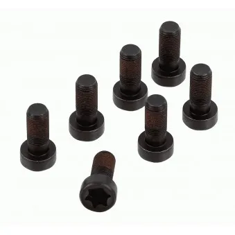 Visserie, volant moteur SACHS 1874 000 083