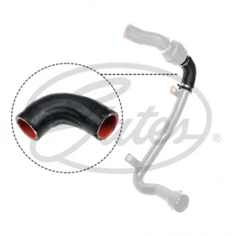 Gaine de suralimentation GATES 09-1365