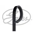 Courroie trapézoïdale à nervures GATES 3PK823SF - Visuel 1