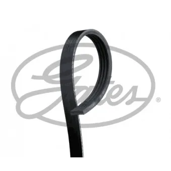 Courroie trapézoïdale à nervures GATES 4PK1745XS