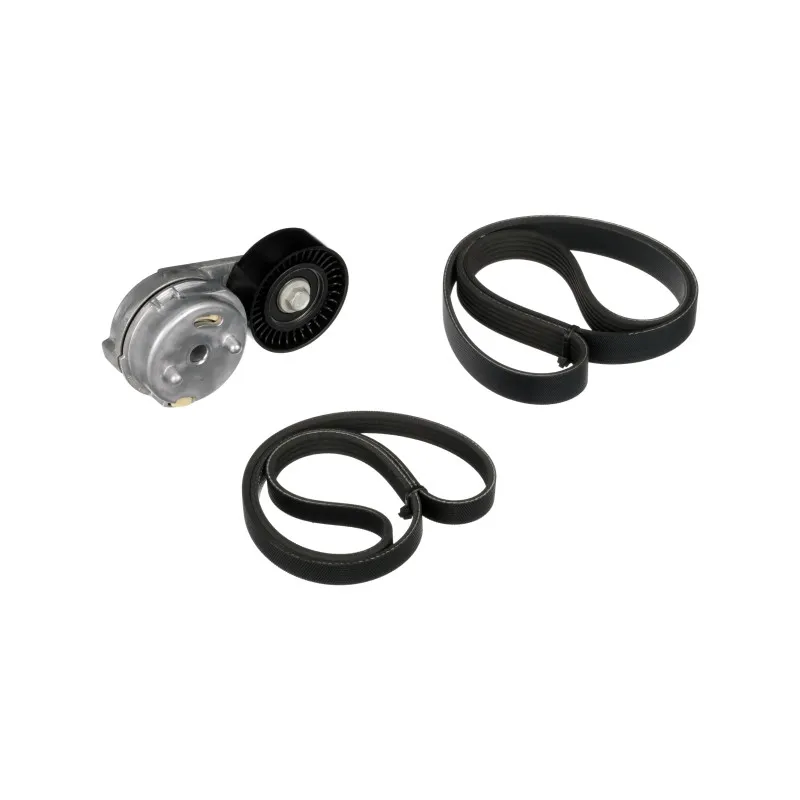 Jeu de courroies trapézoïdales à nervures GATES K026PK1250