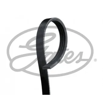 Courroie trapézoïdale à nervures GATES K040274RPM