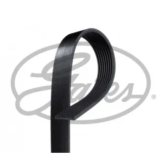 Courroie trapézoïdale à nervures GATES K080507RPM