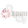 Gaine de suralimentation SEIM 981679 - Visuel 3