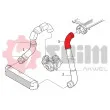 Gaine de suralimentation SEIM 981725 - Visuel 2