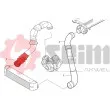 Gaine de suralimentation SEIM 981727 - Visuel 2