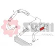 Gaine de suralimentation SEIM 981734 - Visuel 2