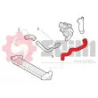 Gaine de suralimentation SEIM 981763 - Visuel 2