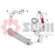 Gaine de suralimentation SEIM 981793 - Visuel 3
