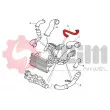 Gaine de suralimentation SEIM 981819 - Visuel 2