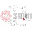 Gaine de suralimentation SEIM 981863 - Visuel 2