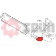 Gaine de suralimentation SEIM 982027 - Visuel 3