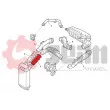 Gaine de suralimentation SEIM 982033 - Visuel 3