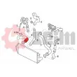 Gaine de suralimentation SEIM 982072 - Visuel 2