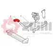 Gaine de suralimentation SEIM 982088 - Visuel 2