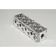 Culasse de cylindre AMC 908023 - Visuel 2