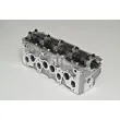 Culasse de cylindre AMC 908118 - Visuel 2