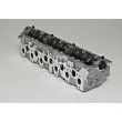 Culasse de cylindre AMC 908131 - Visuel 2