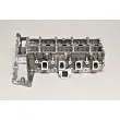 Culasse de cylindre AMC 908182 - Visuel 1