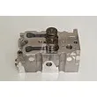 Culasse de cylindre AMC 908185K - Visuel 1