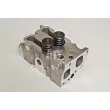 Culasse de cylindre AMC 908185K - Visuel 2