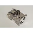 Culasse de cylindre AMC 908186K - Visuel 2