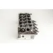 Culasse de cylindre AMC 908250 - Visuel 3