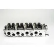 Culasse de cylindre AMC 908372 - Visuel 1