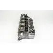 Culasse de cylindre AMC 908372K - Visuel 3