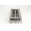 Culasse de cylindre AMC 908445 - Visuel 3
