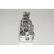 Culasse de cylindre AMC 908661 - Visuel 3