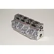 Culasse de cylindre AMC 908668 - Visuel 2