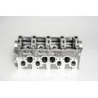 Culasse de cylindre AMC 908717K - Visuel 1