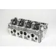 Culasse de cylindre AMC 908717K - Visuel 2