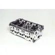 Culasse de cylindre AMC 908718K - Visuel 2