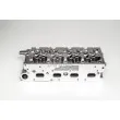 Culasse de cylindre AMC 908735K - Visuel 1