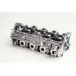 Culasse de cylindre AMC 908790 - Visuel 2