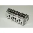 Culasse de cylindre AMC 908810 - Visuel 2