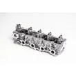 Culasse de cylindre AMC 908845 - Visuel 2