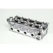 Culasse de cylindre AMC 908879K - Visuel 2
