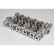 Culasse de cylindre AMC 908898K - Visuel 2