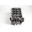 Culasse de cylindre AMC 908910 - Visuel 3